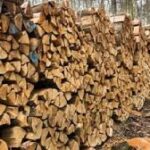 Хто має право безкоштовно отримати дрова в Україні та як зробити так, щоб їх привезли додому.