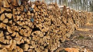 Хто має право безкоштовно отримати дрова.